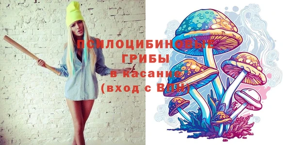 ПСИЛОЦИБИНОВЫЕ ГРИБЫ Алексин