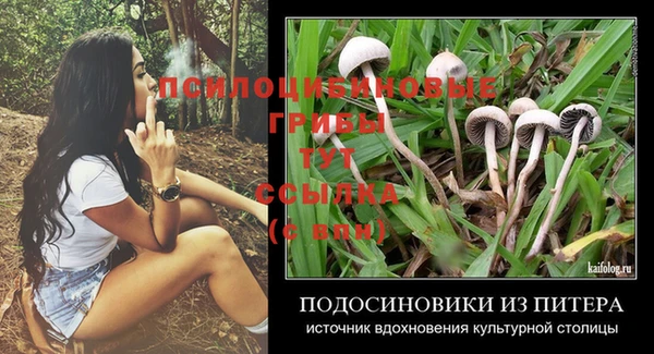ПСИЛОЦИБИНОВЫЕ ГРИБЫ Алексин